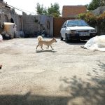 فروش خانه در امامزاده ایگدیر